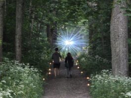 Магия солнцестояния в Медумском парке. Фотоистория Мероприятие «Тропа ловцов счастья» в Медумском парке. Аугшдаугавский край, 19 июня 2026 года. Фото предоставлено организаторами