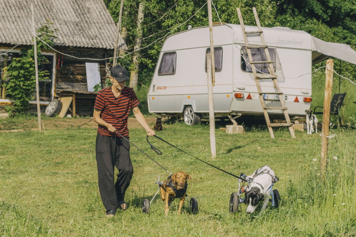 Николай со своими питомцами. Фото: Евгений Ратков (Аугшдаугавский край, 9 июня 2026 года)