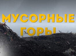 Мусорный полигон. Фото: Эвелина Майбогина