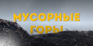 Мусорный полигон. Фото: Эвелина Майбогина