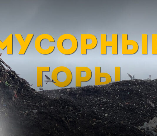 Мусорный полигон. Фото: Эвелина Майбогина
