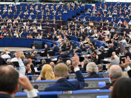 Голосование в Европарламенте. Источник: European Parliament