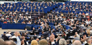 Голосование в Европарламенте. Источник: European Parliament