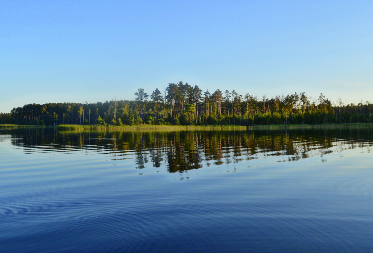 Медумское озеро. Фото: visitdaugavpils.lv