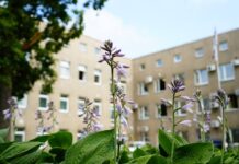 По нескольким предметам результаты выше средних по Латвии. Рассказываем, как даугавпилсские школьники сдали экзамены Школьники Даугавпилса по ряду предметов превзошли средние показатели по стране - таковы предварительные итоги централизованных экзаменов за 2025/2026 учебный год. Фото: daugavpils.lv