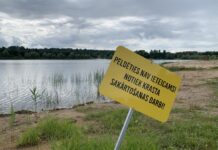 Берег Ругельского котлована. В некоторых местах на озере не рекомендуется купаться, так как на его территории идут строительные работы. 24 июля 2026 года. Фото: Эвелина Майбогина
