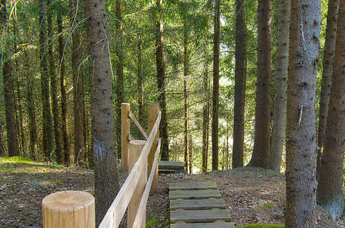 Тропа, ведущая к холму городища Фото: visitdaugavpils.lv
