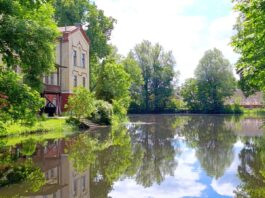 Пруд и здание усадьбы в парке Академии, Дотнува. 19 июня 2026 года. Фото: Эвита Савицкая