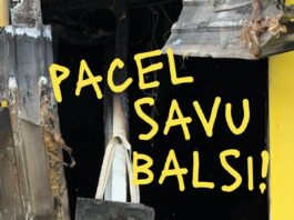 Подними голос: общество Tavi draugi приглашает принять участие в создании самого длинного аудиосообщения поддержки в Латвии Благотворительное общество Tavi draugi запустило акцию поддержки Pacel savu balsi («Подними голос»). Изображение со страницы Biedrība "Tavi draugi" на Фейсбуке