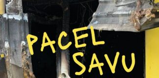 Благотворительное общество Tavi draugi запустило акцию поддержки Pacel savu balsi («Подними голос»). Изображение со страницы Biedrība "Tavi draugi" на Фейсбуке