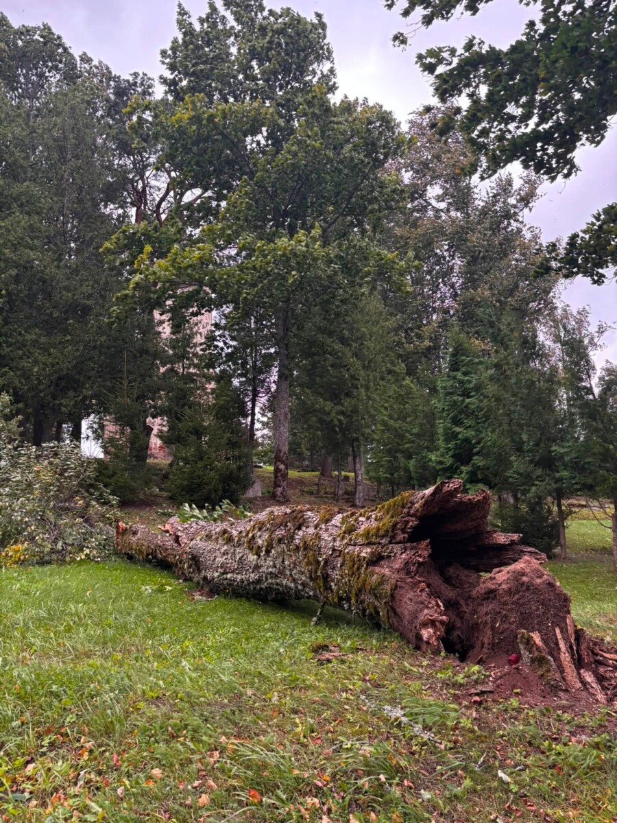 Разрушения на территории Дома Райниса в Беркенеле Аугшдаугавского края. Фото: Raiņa māja Berķenelē / Facebook