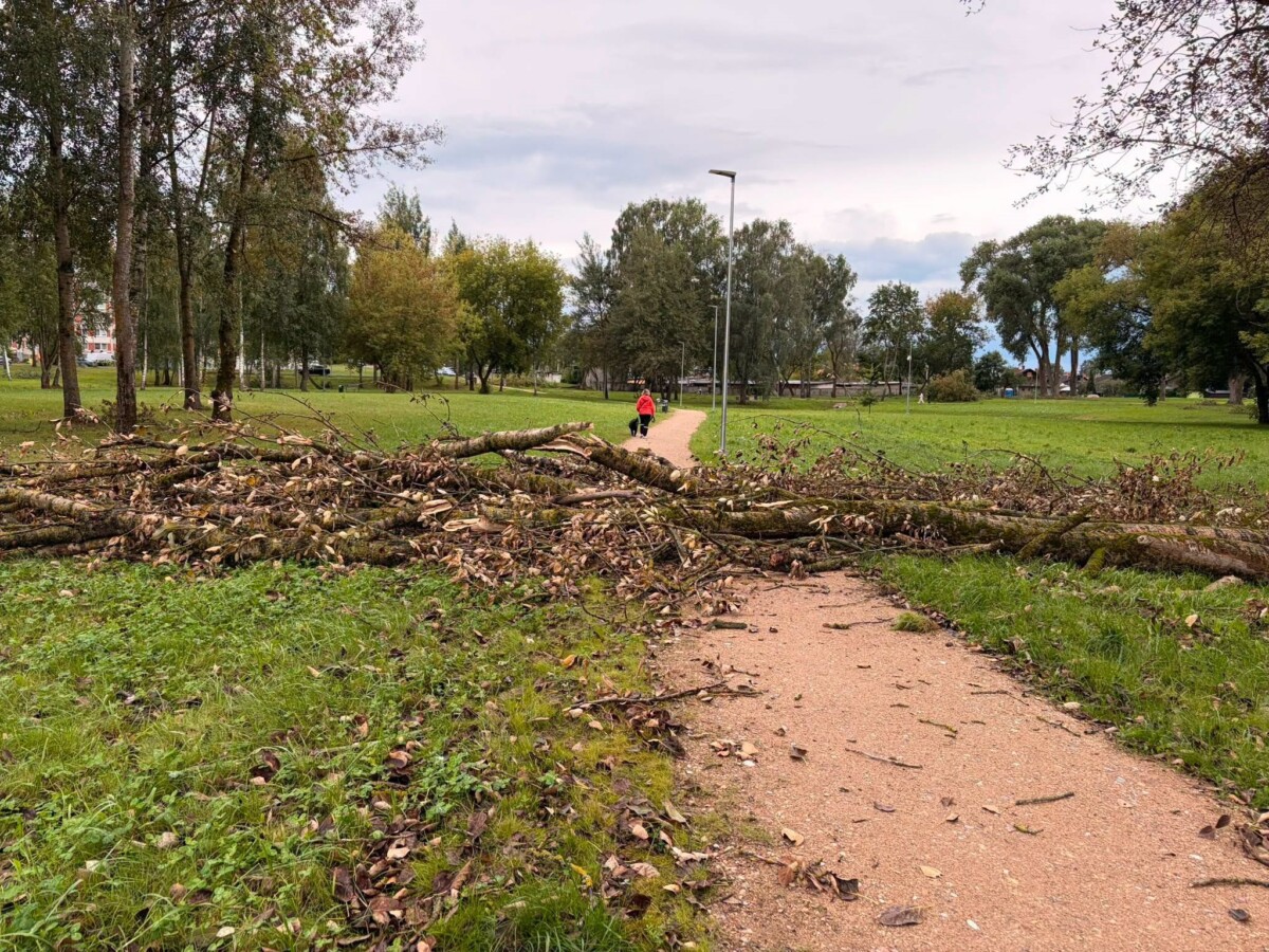 Последствия бури 22 и 23 августа в Даугавпилсе. Фото: Daugavpils Komunālās saimniecības pārvalde
