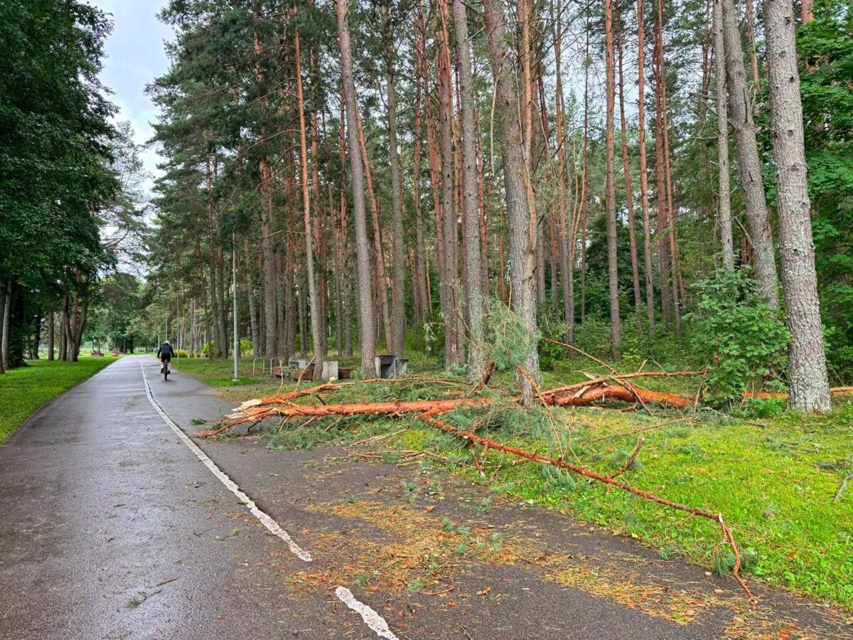 Последствия бури 22 и 23 августа в Даугавпилсе. Фото: Daugavpils Komunālās saimniecības pārvalde