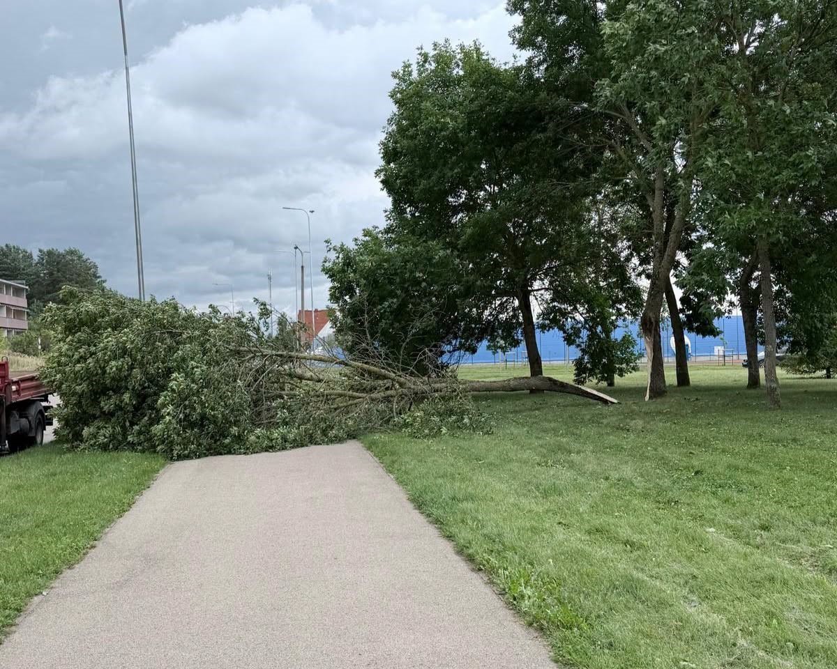 Последствия бури 22 и 23 августа в Даугавпилсе. Фото: Daugavpils Komunālās saimniecības pārvalde
