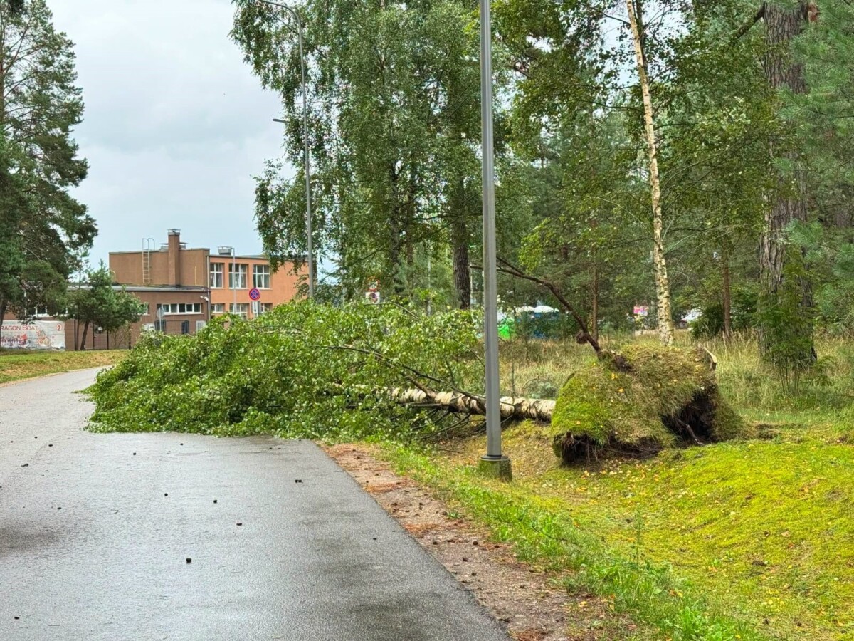 Последствия бури 22 и 23 августа в Даугавпилсе. Фото: Daugavpils Komunālās saimniecības pārvalde
