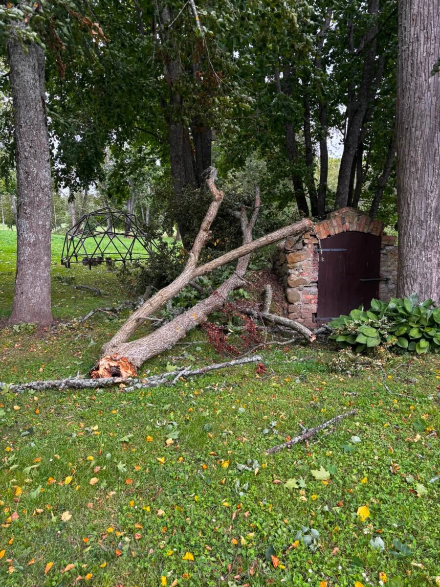 Разрушения на территории Дома Райниса в Беркенеле Аугшдаугавского края. Фото: Raiņa māja Berķenelē / Facebook