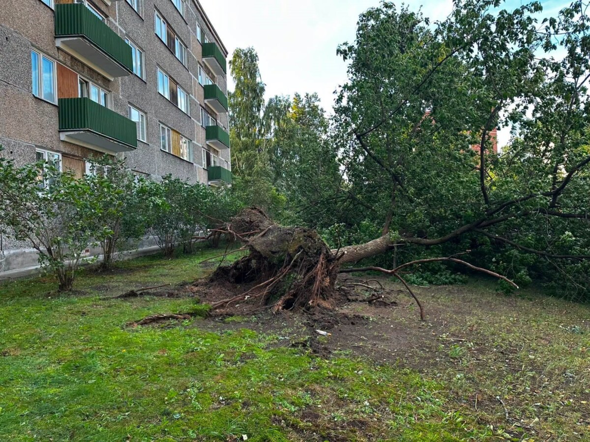 Последствия бури 22 и 23 августа в Даугавпилсе. Фото: Daugavpils Komunālās saimniecības pārvalde