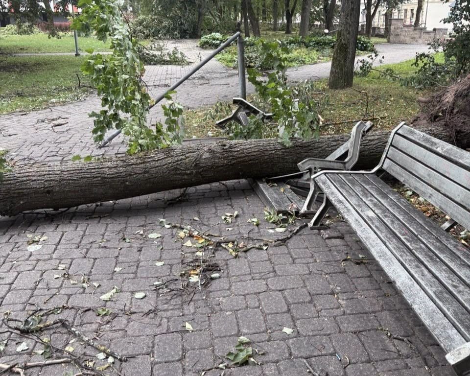 Последствия бури 22 и 23 августа в Даугавпилсе. Фото: Daugavpils Komunālās saimniecības pārvalde