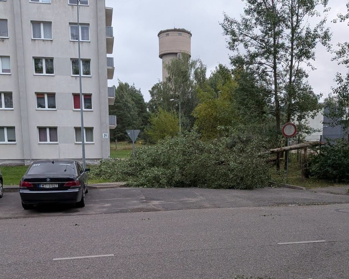 Последствия бури 22 и 23 августа в Даугавпилсе. Фото: Daugavpils Komunālās saimniecības pārvalde