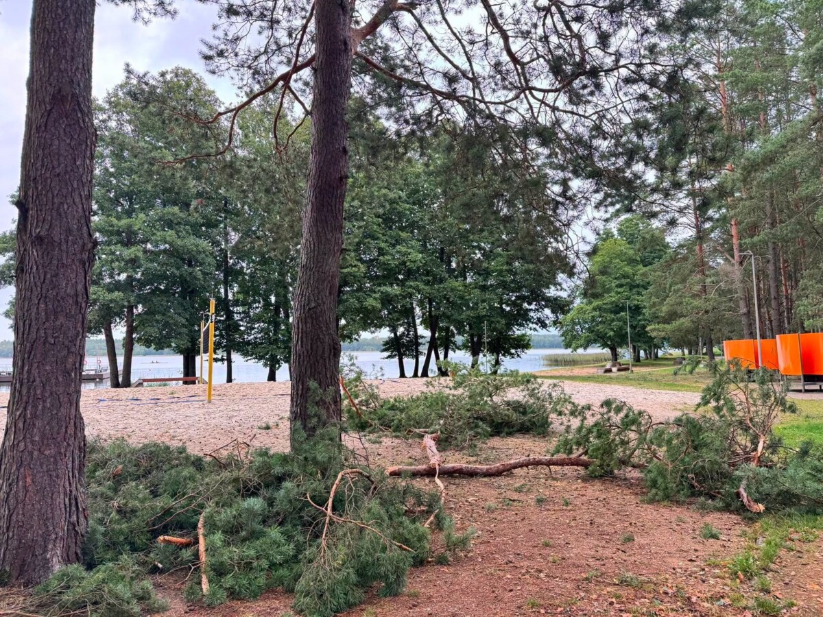Последствия бури 22 и 23 августа в Даугавпилсе. Фото: Daugavpils Komunālās saimniecības pārvalde