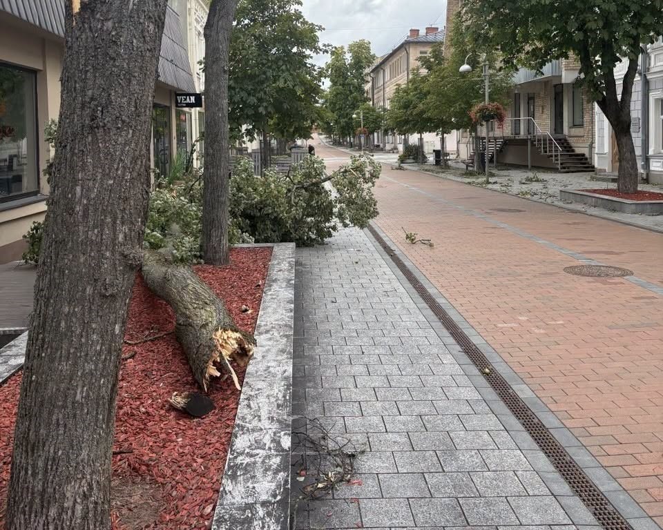 Последствия бури 22 и 23 августа в Даугавпилсе. Фото: Daugavpils Komunālās saimniecības pārvalde