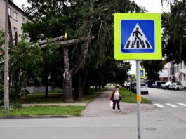 «К кризису готовимся мы все, каждый в своём доме»: буря выявила недостатки системы гражданской защиты Латвии Последствия бури в Даугавпилсе. 22 августа 2026 года. Фото: Ивар Сойканс / LETA