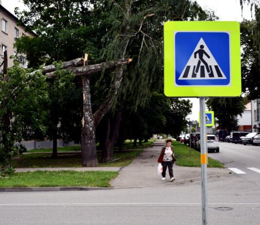 Последствия бури в Даугавпилсе. 22 августа 2026 года. Фото: Ивар Сойканс / LETA