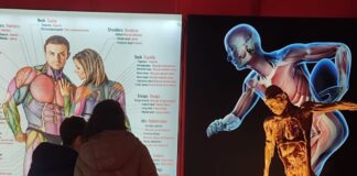 С 17 сентября по 17 декабря в ТЦ Teika Plaza (проспект Бривибас, 201) будет проходить выставка о человеческом теле BODIES Evolution. Выставка будет работать ежедневно с 10:00 до 20:00. Иллюстративное фото: bodiesevolution.es