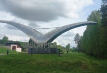 Чайка на въезде в Даугавпилс. 27 мая 2025 года. Фото: Chayka.lv