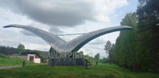 Чайка на въезде в Даугавпилс. 27 мая 2025 года. Фото: Chayka.lv