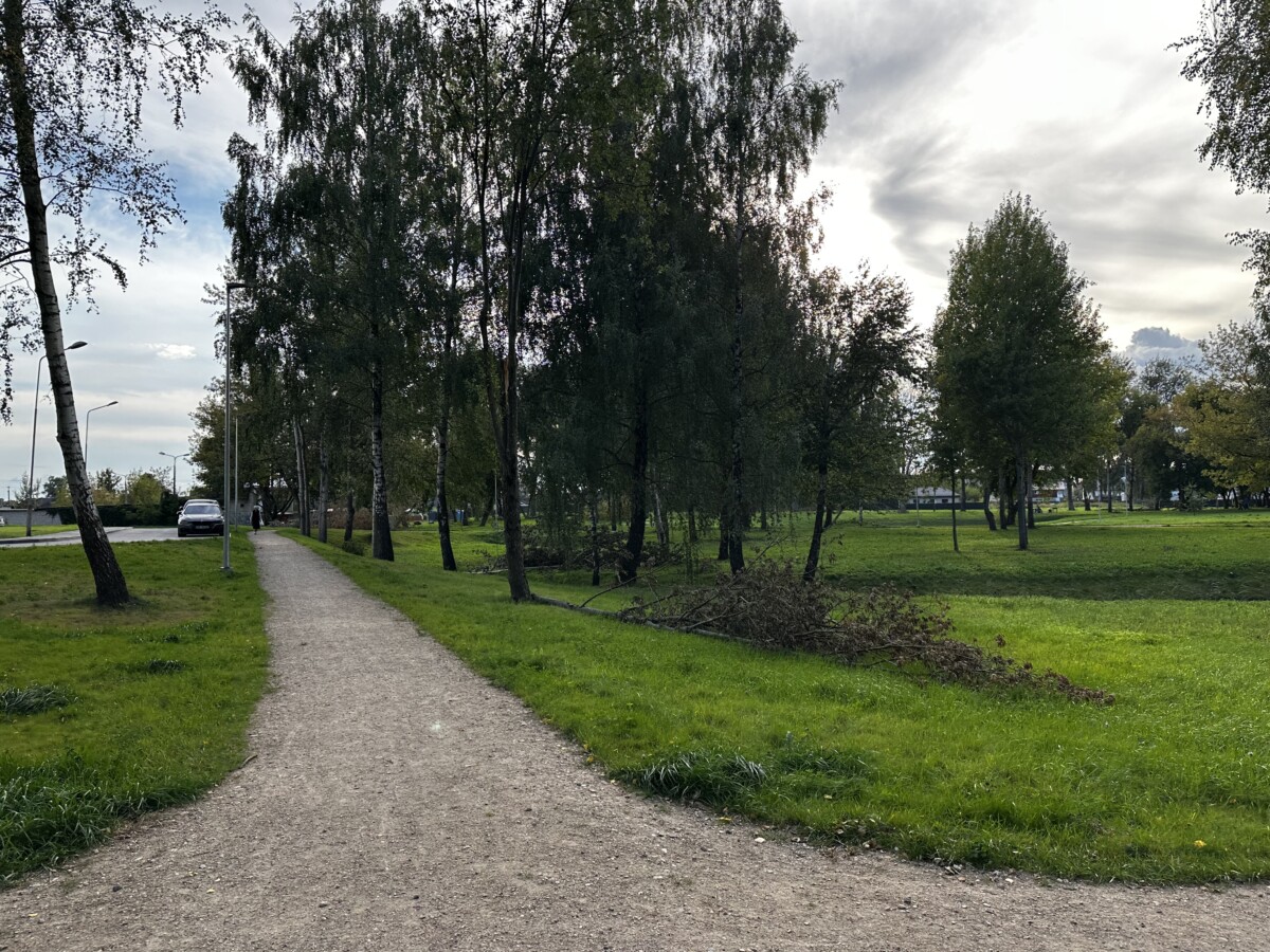 Парк Авотиню на Химии в Даугавпилсе. 31 августа 2026 года. Фото: Анастасия Шубина