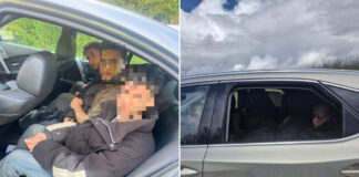 В Латвии продолжают задерживать перевозчиков мигрантов. За неделю три новых случая Нелегальные мигранты, задержанные в Латвии 2 и 5 сентября 2026 года. Фото: Valsts robežsardze