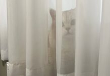 С 1 октября конечный тариф на тепловую энергию SIA Daugavpils siltumtīkli увеличится на 6,7% и составит 76,16 евро за мегаватт-час (МВт·ч). Иллюстративное фото: Pexels.com