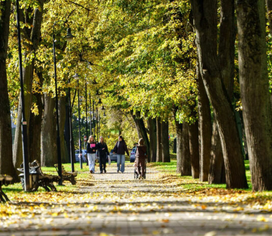 Даугавпилс. Октябрь 2026 года. Иллюстративное фото: Маргарита Вигуле / daugavpils.lv