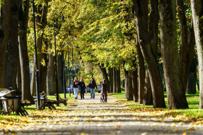 Даугавпилс. Октябрь 2026 года. Иллюстративное фото: Маргарита Вигуле / daugavpils.lv